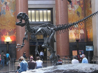 dino
