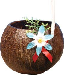 coconutshell