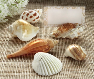 shell